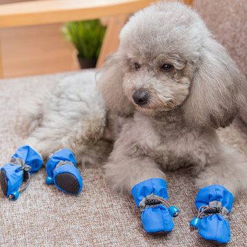 New 4pcs Waterproof Pet Dog Shoes - Anti-slip Rain and Snow Boots with Elastic and Cotton Features