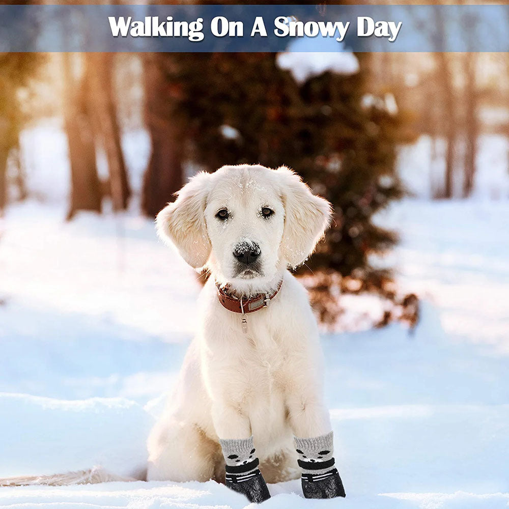 Waterproof Pet Rain and Snow Shoes - The Ultimate Protection for Your Beloved Pets