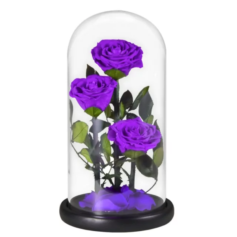 Three-Headed Rose Dome