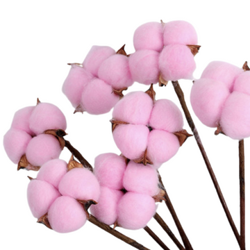 Cotton Flower Decorative