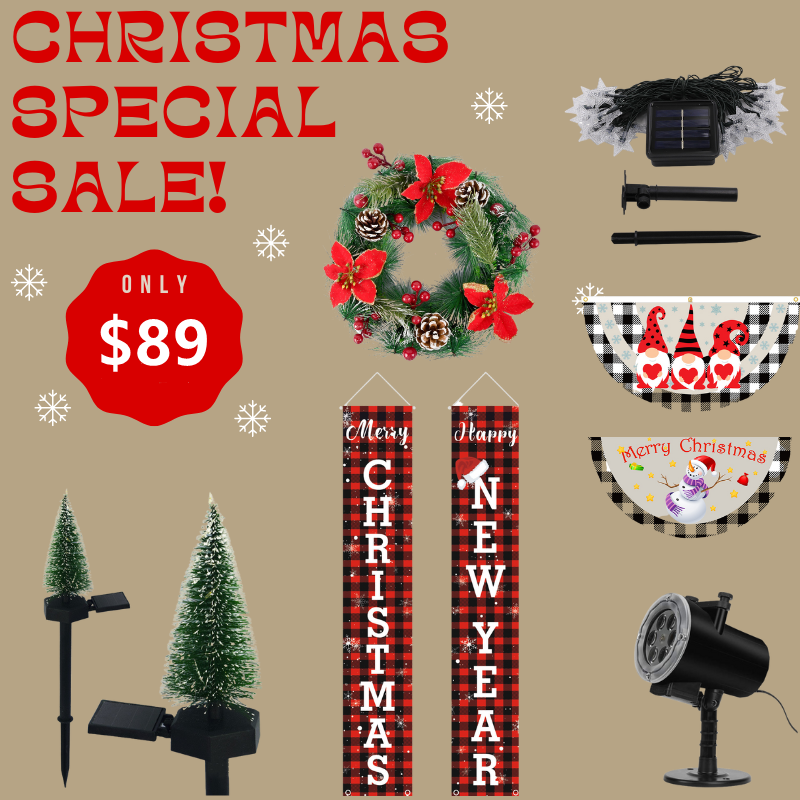 Christmas Outdoor Decorations Package